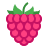 Himbeeren